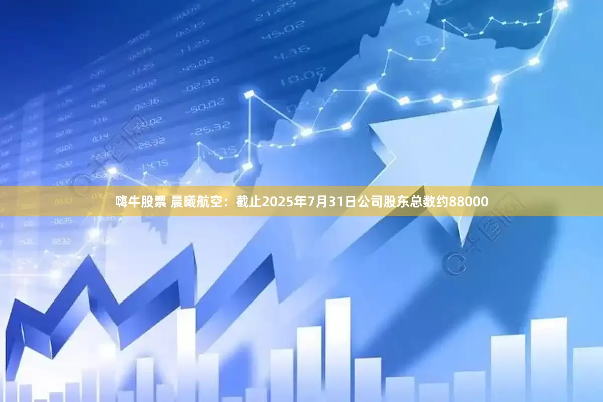 嗨牛股票 晨曦航空：截止2025年7月31日公司股东总数约88000