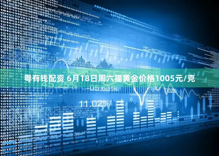 粤有钱配资 6月18日周六福黄金价格1005元/克